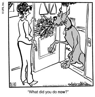 marmaduke